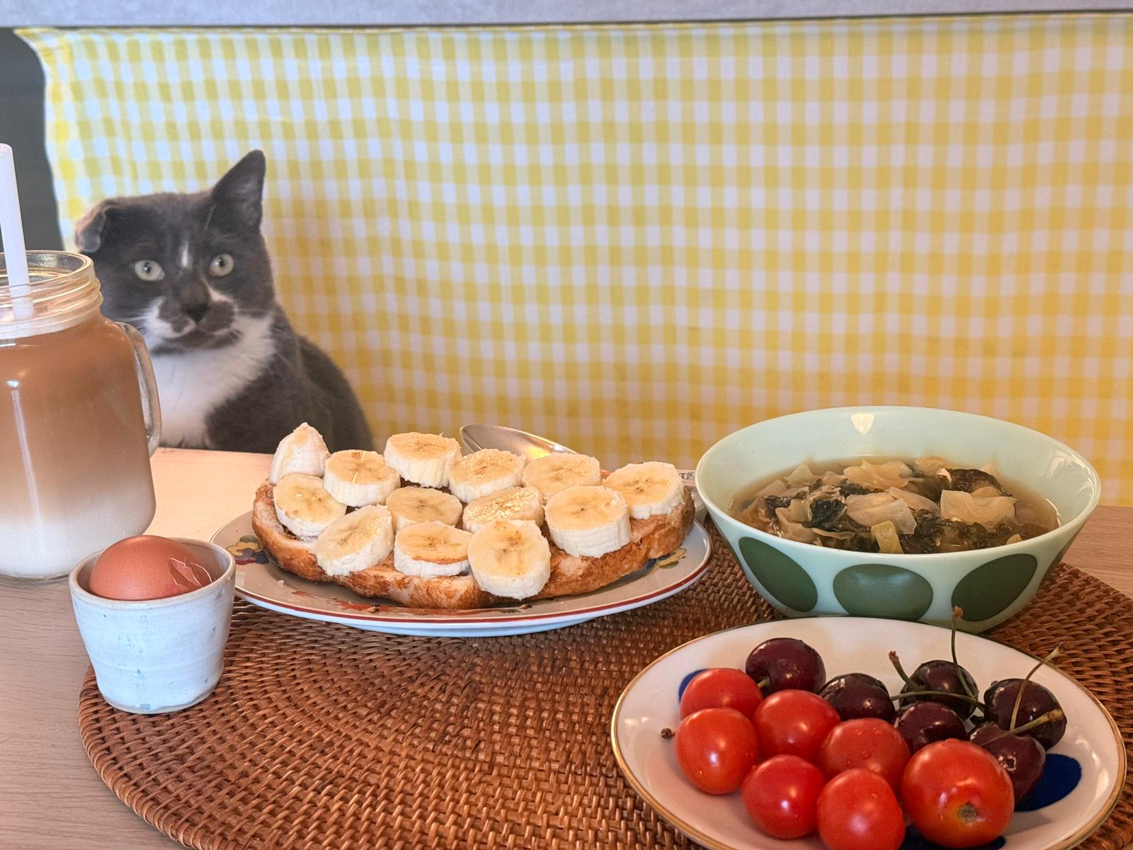 Sesame sitting behind a breakfast spread of banana toast, soup, cherries and tomatoes